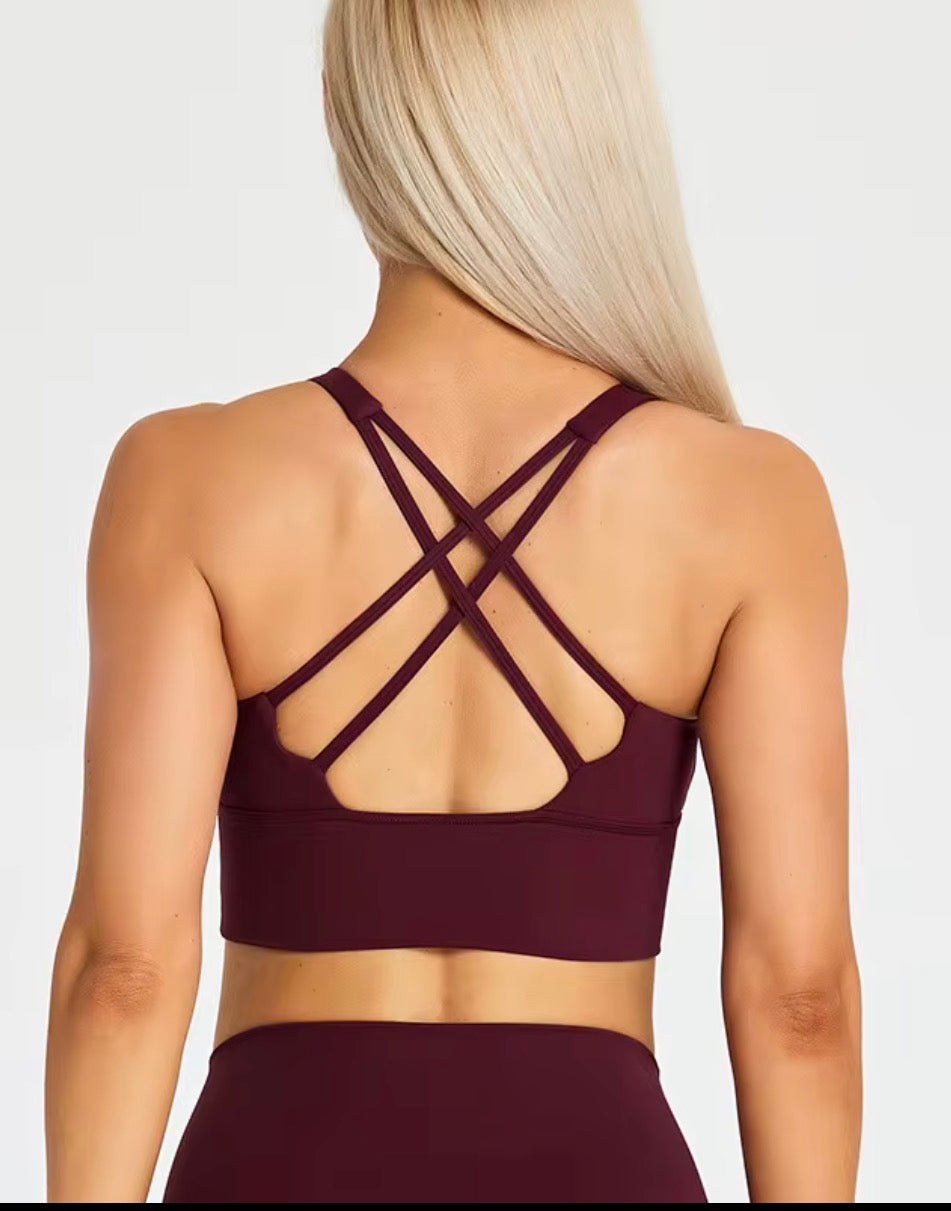 The New Flex 2.0 Sports Bra in Burgundy